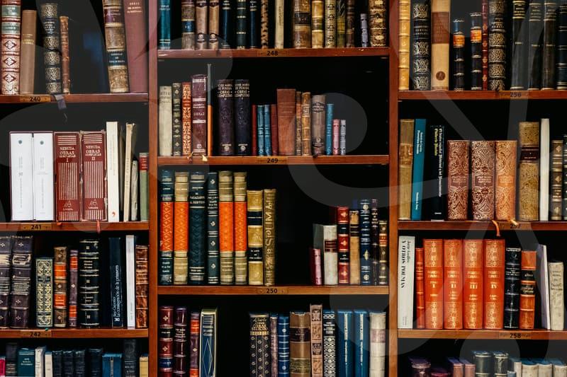 금융문제 해결을 위한 실질적 조정 방법과 준비