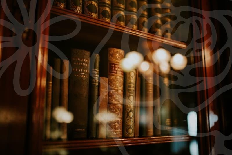 회생절차의 단계별 이해와 진행 포인트