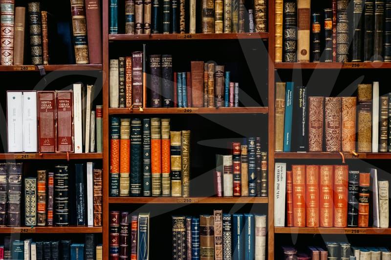 금융문제 해결을 위한 채무 재구성과 계획