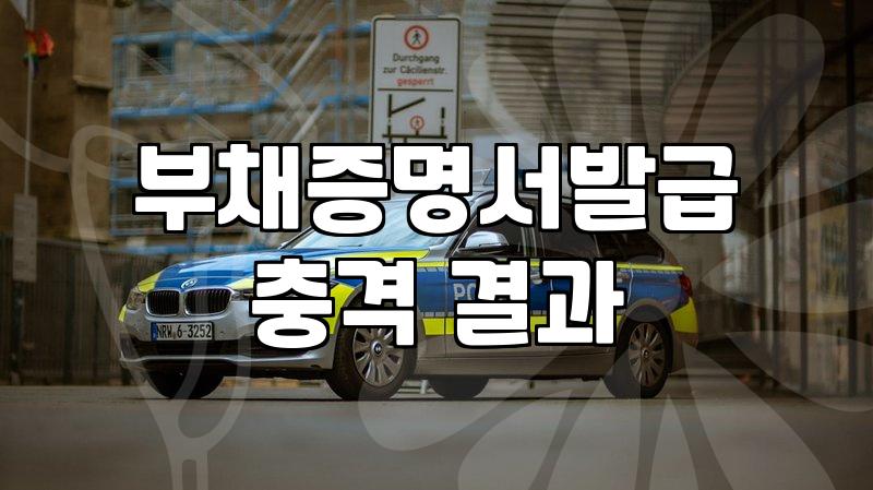 부채증명원, 정말 필요한가요? 경험자가 말하는 현실적인 발급 과정과 팁