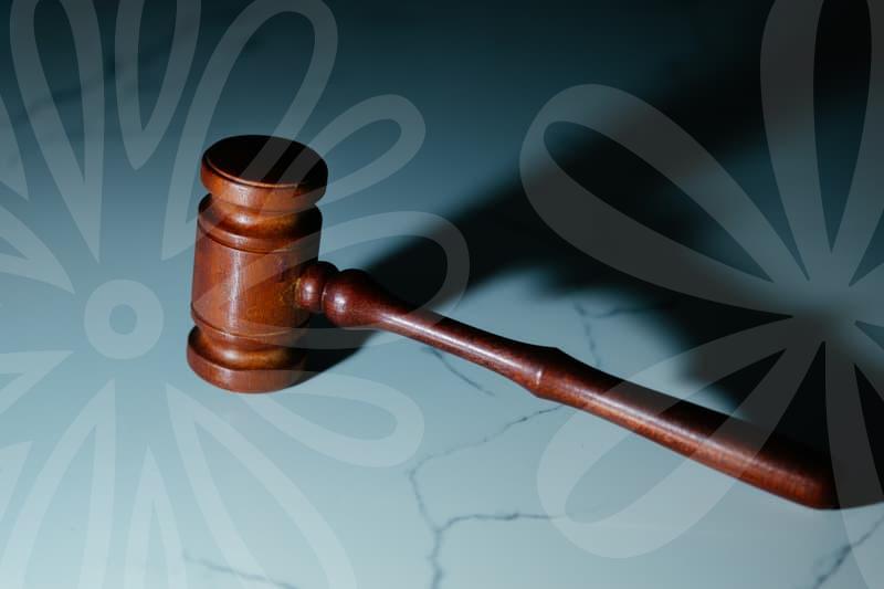 법인파산전문변호사와 기업회생제도의 실전 가이드와 고려사항