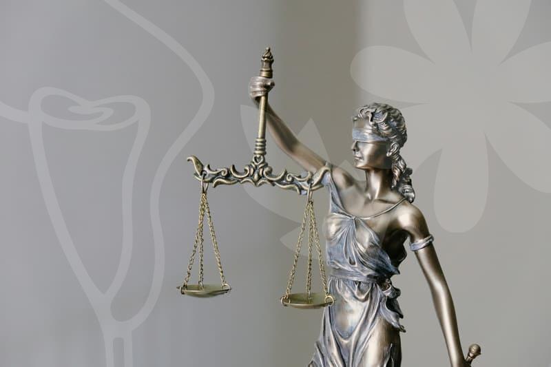 채무조정신청의 핵심 절차와 서류 준비 팁