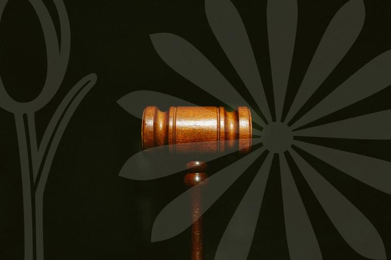 개인회생의 조건과 비용 구조를 한눈에 이해하는 실전 가이드