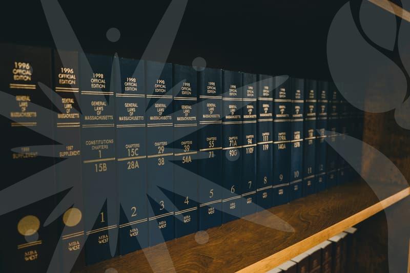 개인회생전문가의 시선으로 본 회생 절차의 핵심