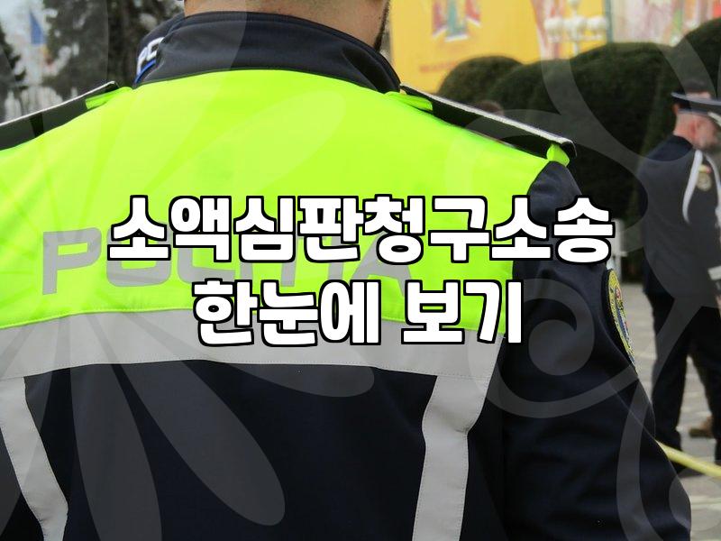 나홀로 소액심판청구소송, 과연 변호사 없이 가능한가? 현실적인 경험담