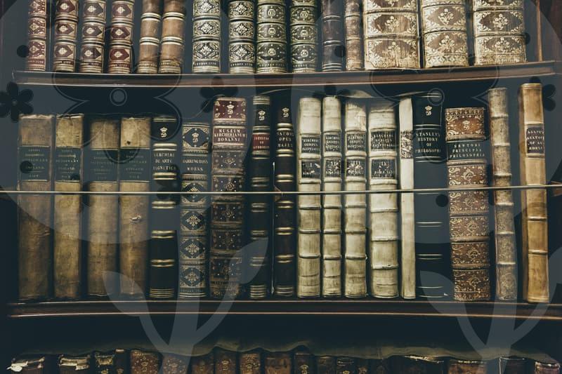 개인회생의 핵심 절차 이해와 준비를 위한 실전 가이드