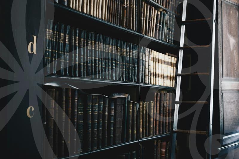 신속채무조정으로 빚을 정리하는 실전 전략과 주의점