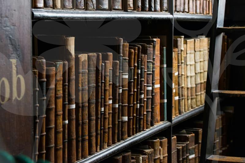 회생절차의 핵심 단계와 준비 포인트를 이해하기