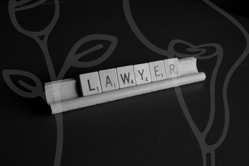 파산폐지의 의미를 알고 개인회생과의 선택 포인트를 살피기