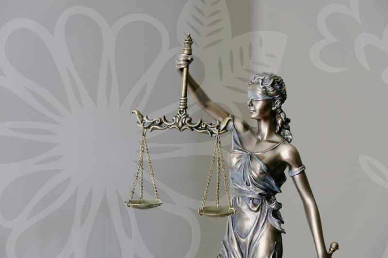 개인회생제도 작동 원리와 실질적 이점과 한계 탐구