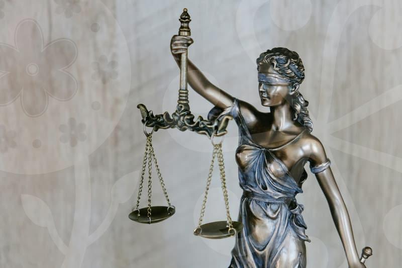 주부개인회생의 현실과 자격 요건을 자세히 파헤치는 실전 가이드