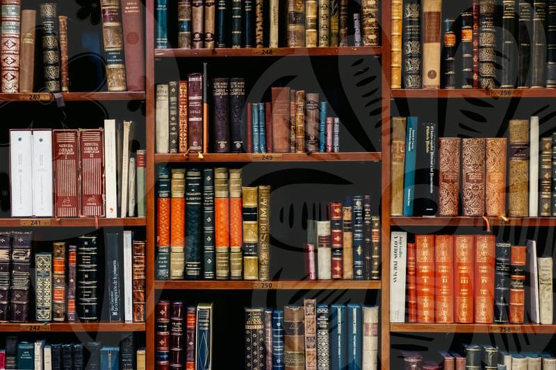 개인파산의 기본 이해와 절차 비교 분석 중심으로