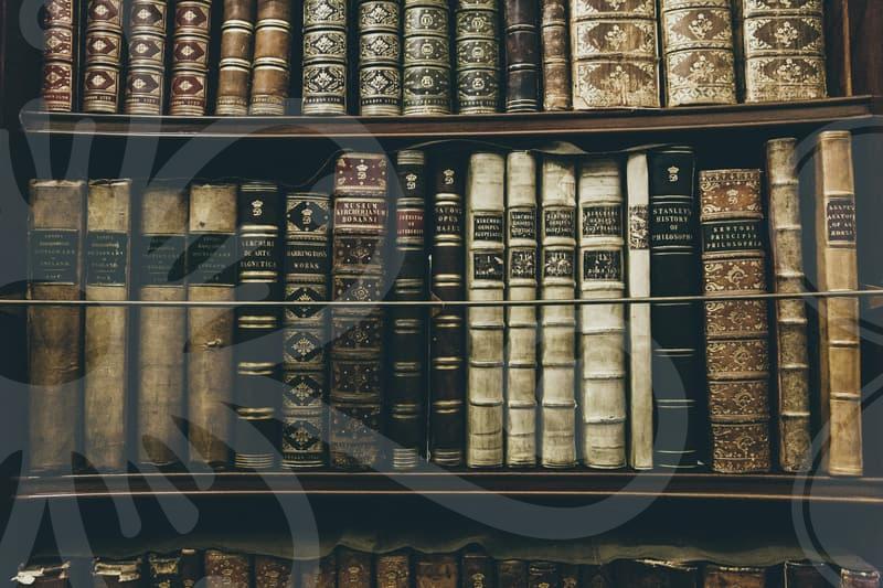 채무탕감으로 재기 기회와 신용 회복의 길을 찾다