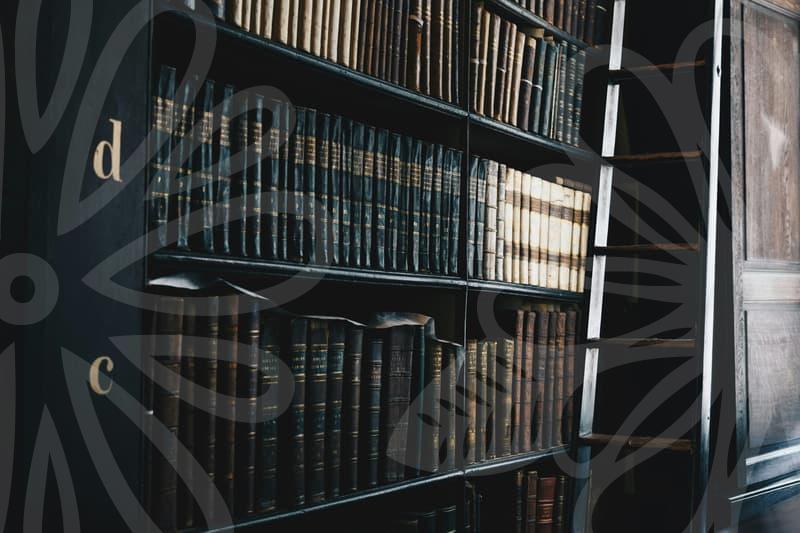 개인파산의 핵심을 파헤치고 개인회생과의 차이를 짚어보는 가이드