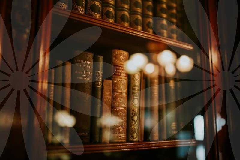 채무조정의 실전 절차와 효과적인 해결 포인트 과정