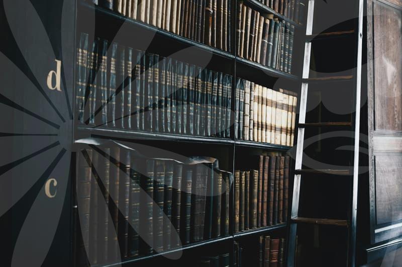 병원폐업 이후 개인회생과 법적대응의 흐름과 준비