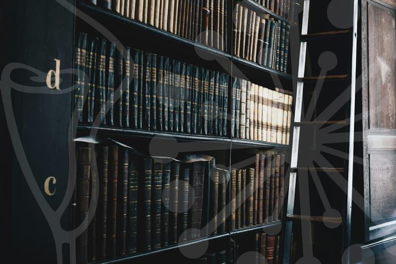 개인채무조회 어디서부터 확인해야 할까