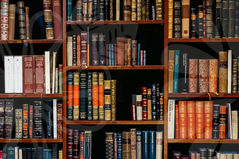 파산면책의 실제 절차와 면책 범위 파악 및 준비 전략