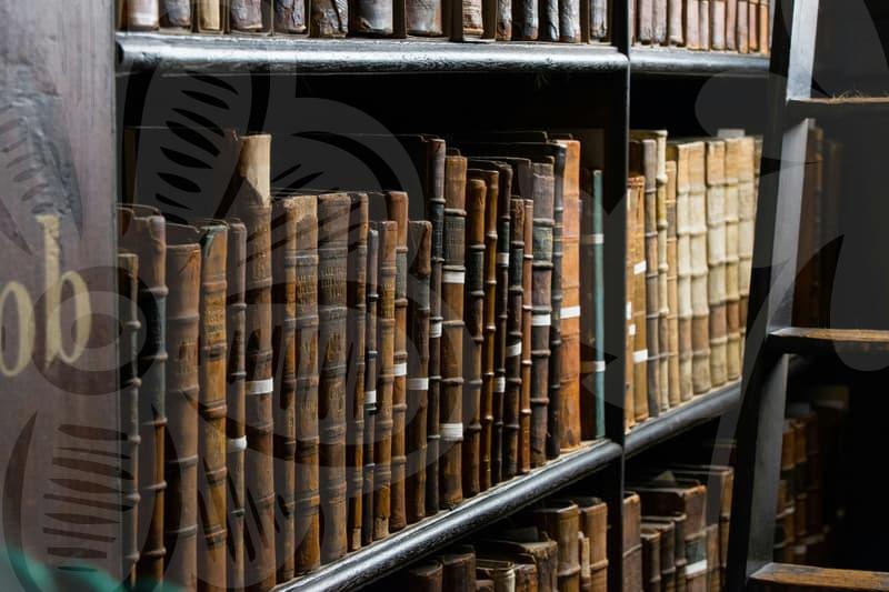 신용회복 실전 노하우 신용등급 개선과 채무재조정의 비밀