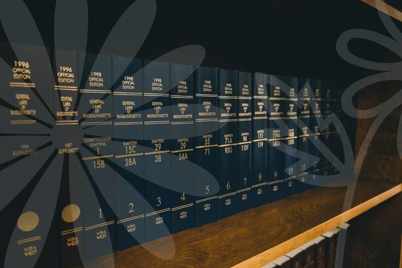 개인파산의 실제 절차와 신용회복 가능성과 실전 전략