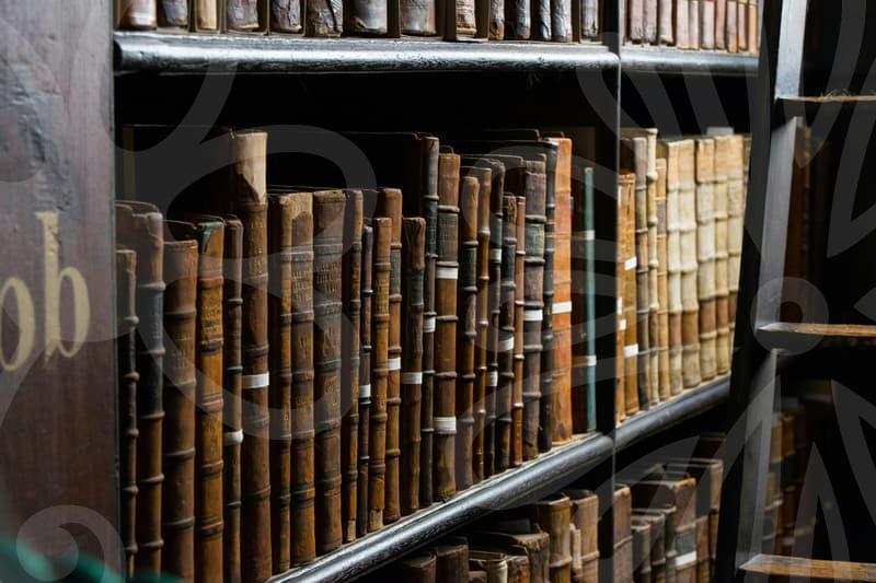 파산이란 무엇인가 파산의 정의와 실무를 알아보는 길