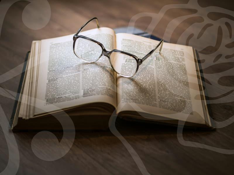 회생절차의 모든 단계와 선택 포인트를 알아보자