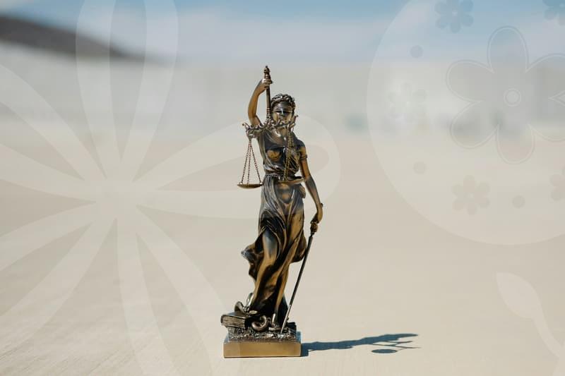 개인회생법무사비용의 실제 구조와 합리적 산정 방법 및 현황