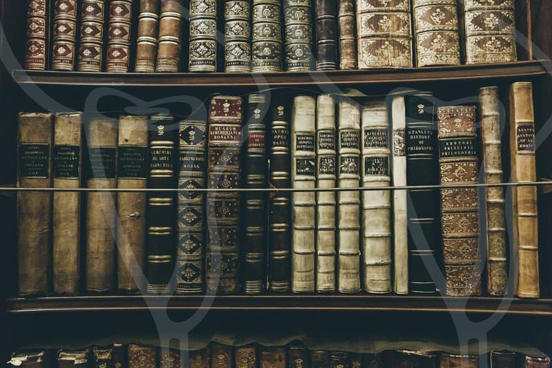 금융문제 해결의 첫걸음으로 재정 회복의 길을 찾다