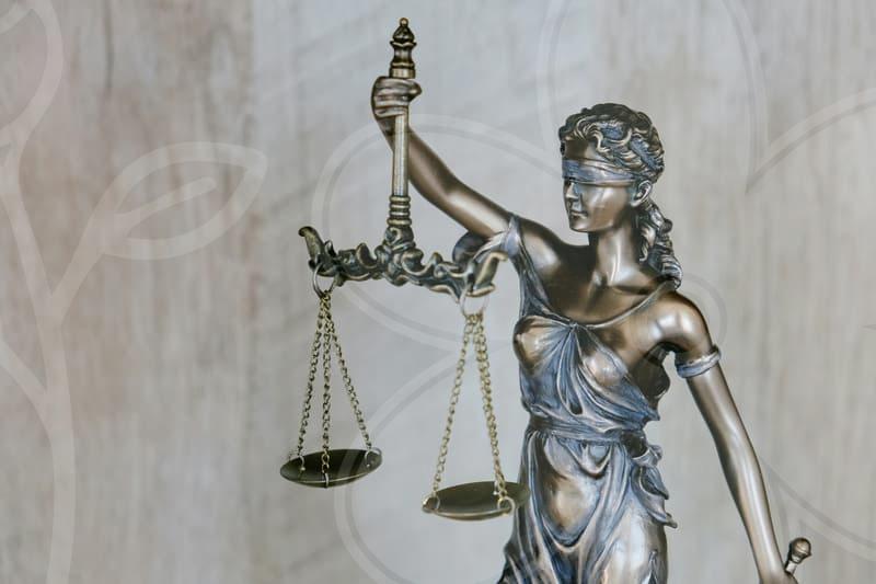 개인파산조건 이해와 파산절차의 핵심 포인트