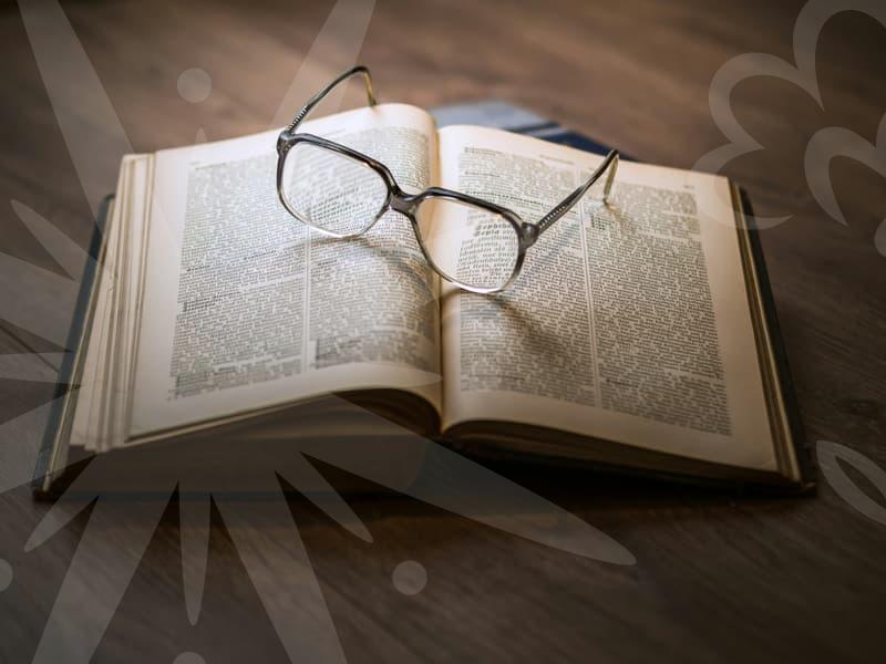 개인회생과 개인파산의 이해와 절차 준비과정 실전가이드