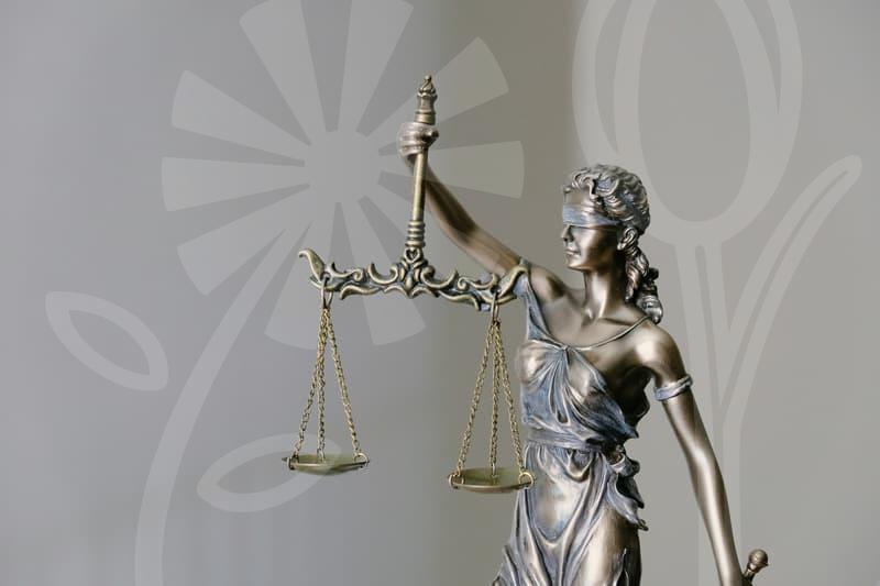 채무면제의 실체를 이해하는 개인회생의 길과 한계