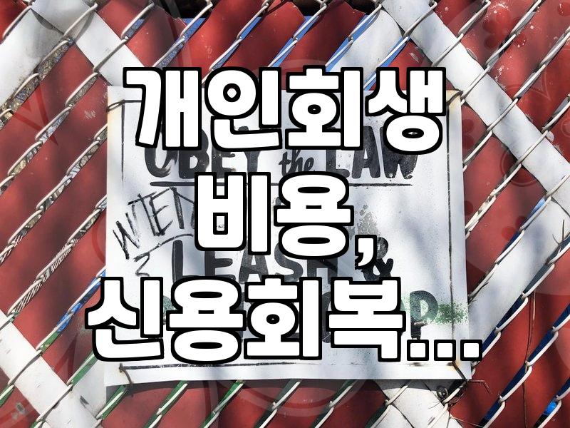 채무 조정과 개인회생 신청 시 현실적으로 고려해야 할 점들