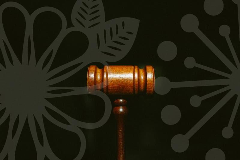 법률상담으로 알아보는 개인회생 절차와 주의점 안내