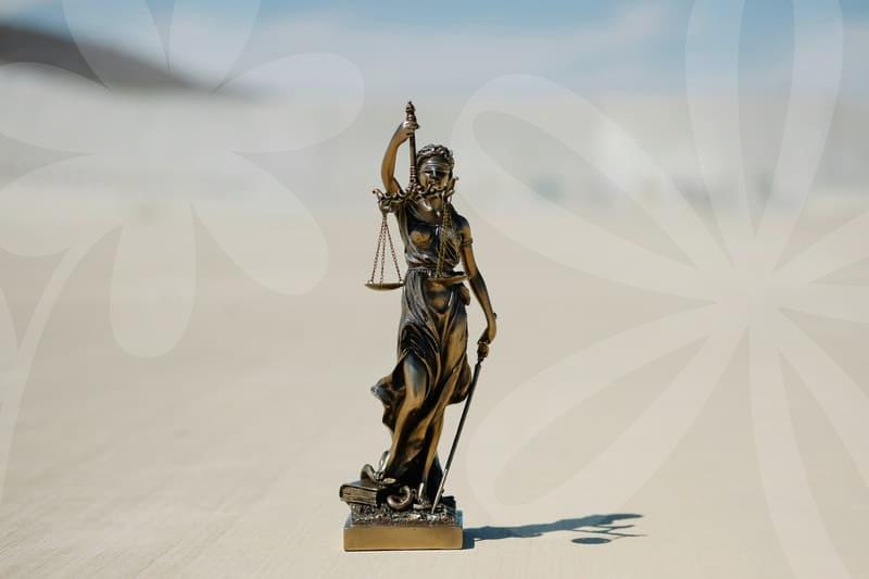 개인파산변호사비용의 실제 구조와 합리적 기대를 알아보기