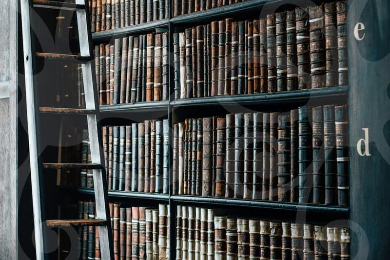 파산면책 신청으로 빚의 굴레를 벗어나기 위해 꼭 알아야 할 실무적 조언