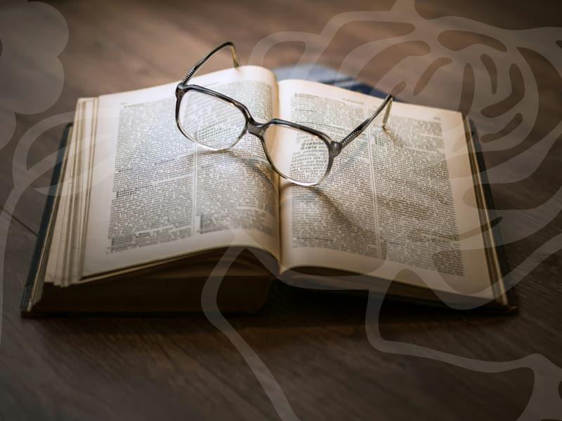 경찰변호사와 개인회생의 실무적 연결 고리의 이해