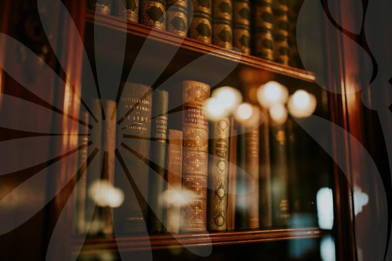 개인파산의 절차와 신용회복 시작점을 알아보는 방법