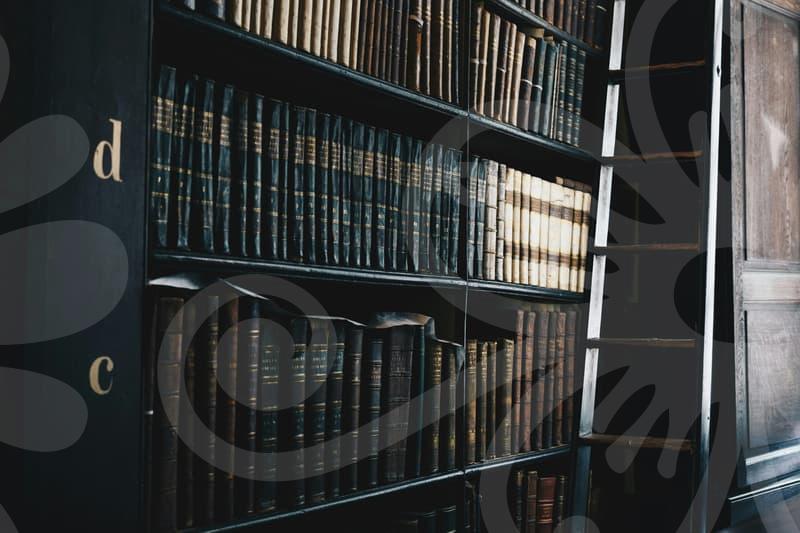 개인회생상담비용의 실제 구조와 합리적 비교 분석