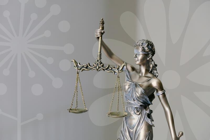 카드론연체의 실체와 개인회생으로 재정 회복하는 법