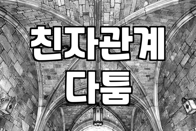 친생자 확인 소송, 감정적인 선택보다 현실적인 고민이 먼저인 이유