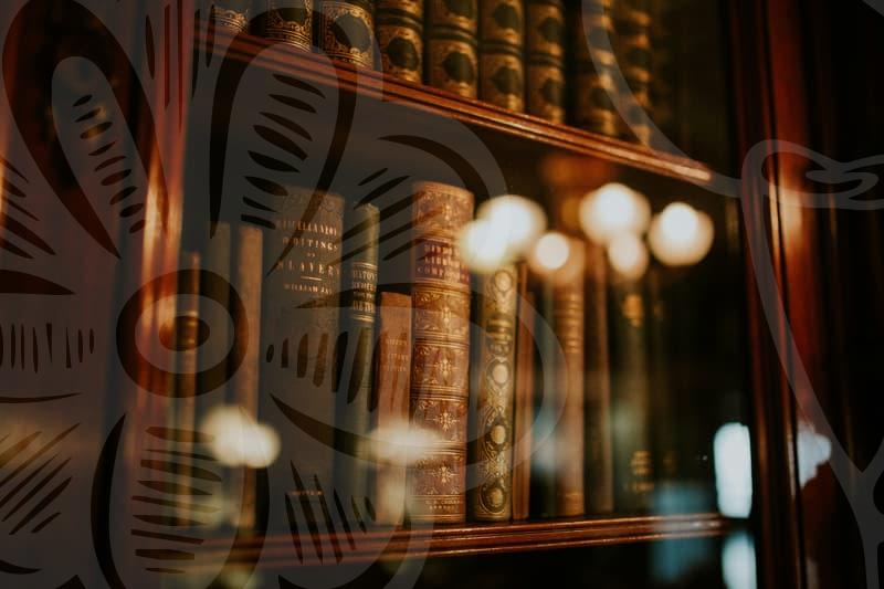 체납 세금, 개인회생으로 해결될까?