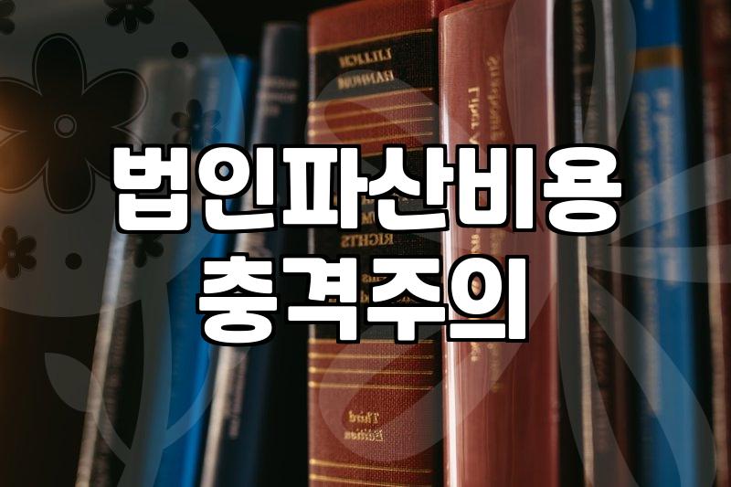 법인 청산과 파산 사이, 현실적인 고민과 비용의 실체