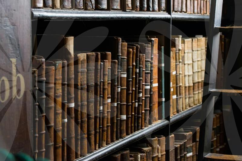 근로계약의 영향과 합의서 활용법과 연봉계약서 주의점