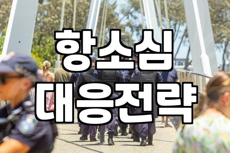 항소심을 고민하는 당신에게: 변호사 선임과 현실적인 대응 전략