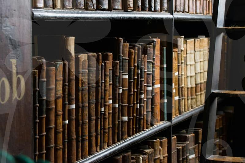 기업파산절차의 실제 흐름과 회생 여지를 파헤치기