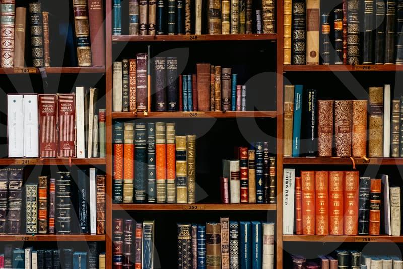 금융문제 해결의 길잡이와 회생 절차의 핵심 포인트 모음