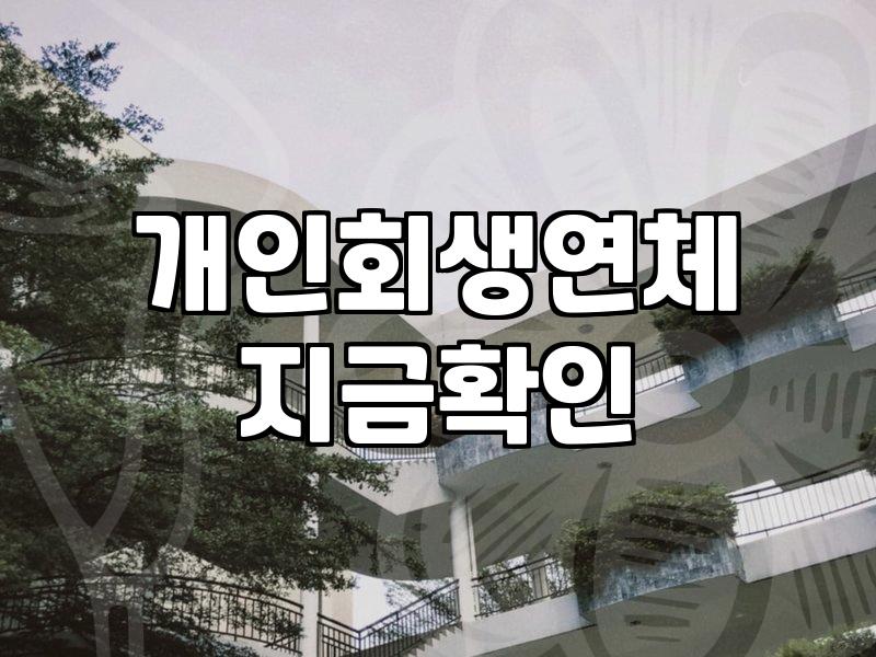 개인회생과 파산 사이, 현실적인 고민과 뒷이야기