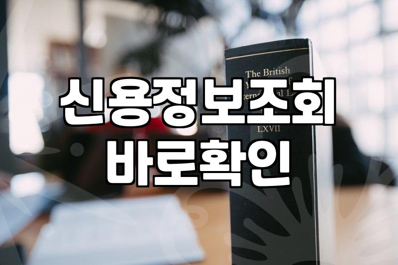 개인회생 시 채무증명서, 이것만은 꼭 확인하세요