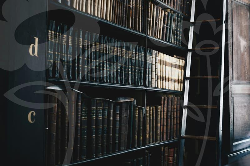 대출연체를 이겨내는 구체적 방법과 신용 회복의 길