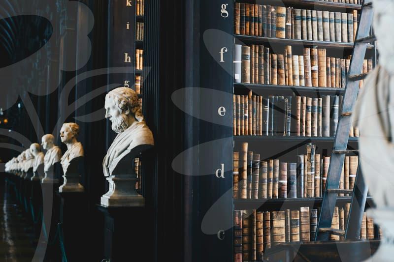 파산면책의 실전 가이드와 면책 가능성 탐구